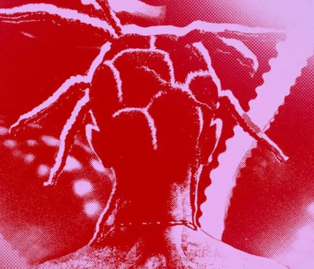 iScreen Shoter Google Chrome 250312014213