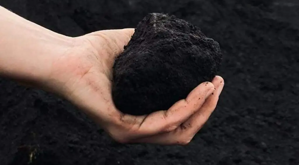 Caroline Le Méhauté & Isabella Soupart 1 1743565271027 centrale a50d3dac851960c2327070d0d3dd6cc125f364d9