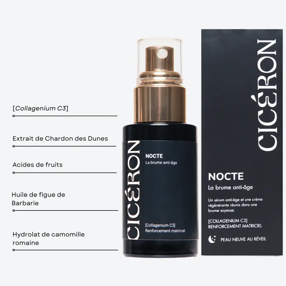 Cicéron : Interview Avec Une Créatrice Visionnaire 2 Nocté
