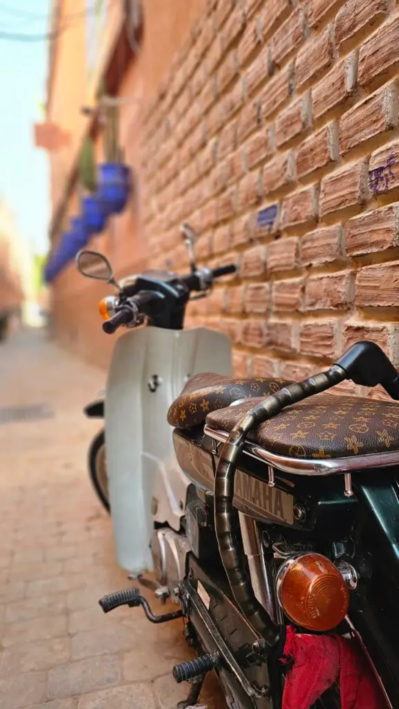 Riad Goloboy Marrakech : Passeport pour la Vie en Bleu Majorelle 12 20250916 103736