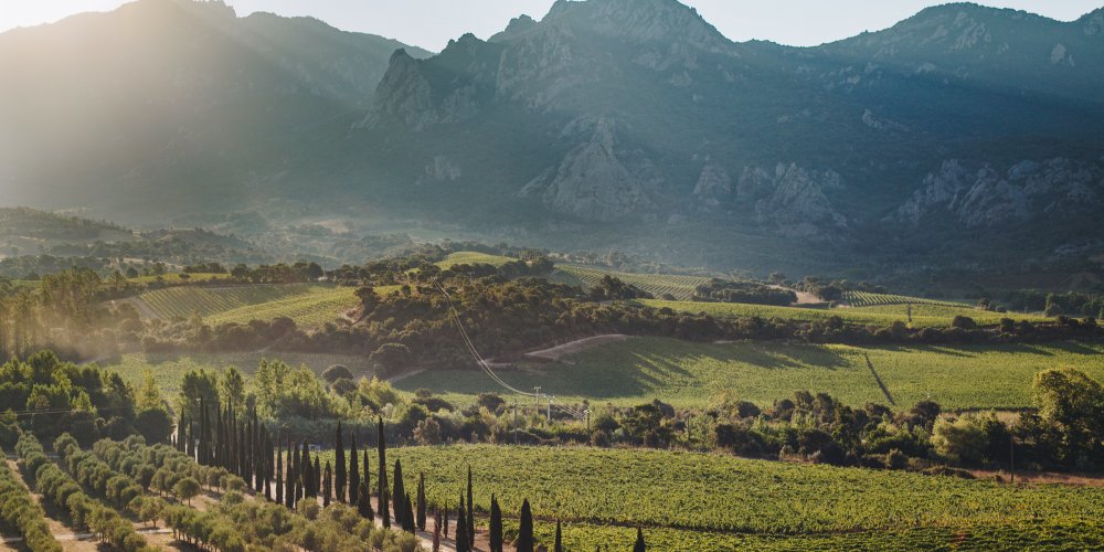 Corse-Du-Sud : Mer Turquoise, Vignobles Et Gastronomie 8 Castellu di Baricci