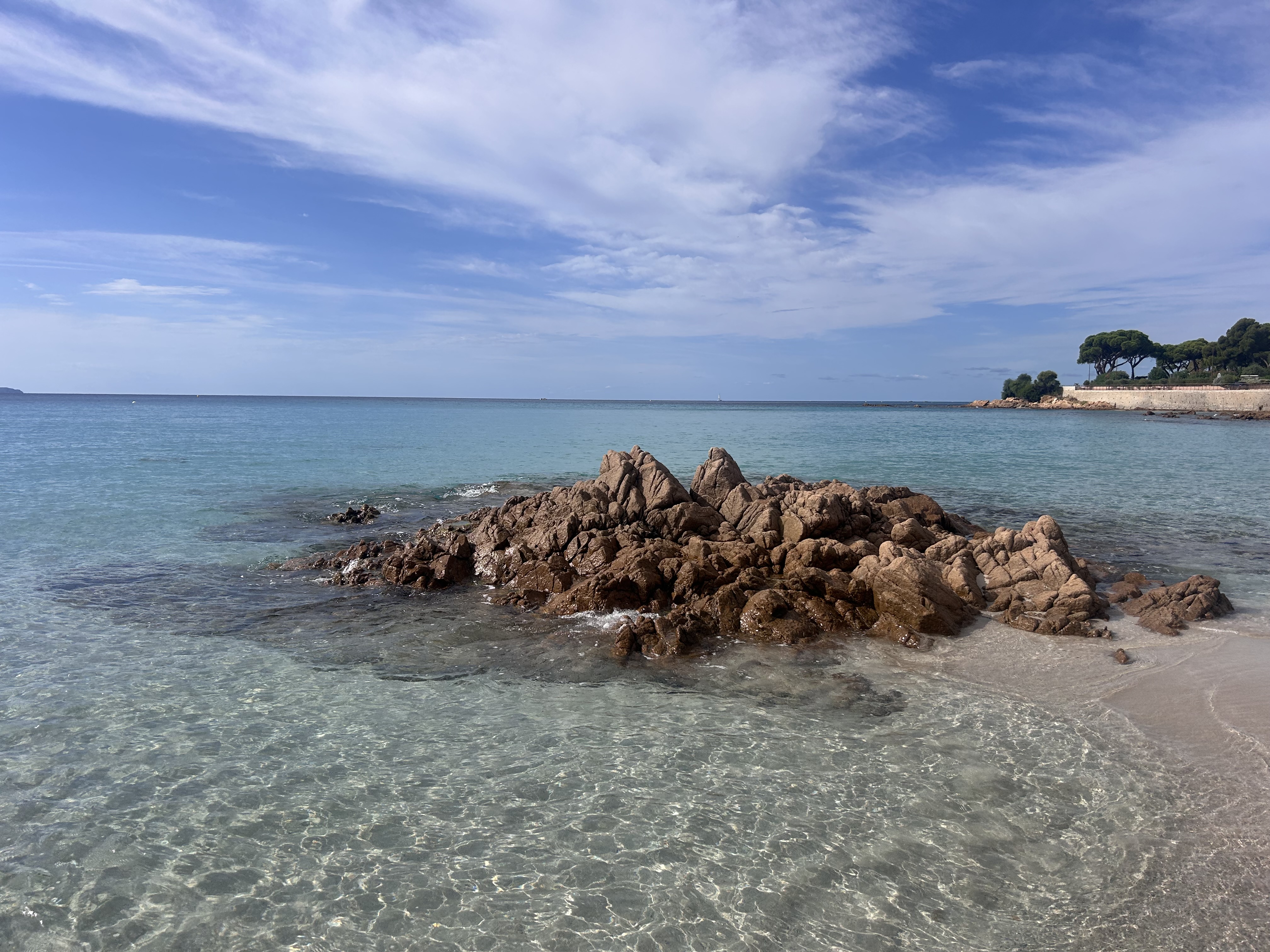 Corse-Du-Sud : Mer Turquoise, Vignobles Et Gastronomie 25 IMG 6427