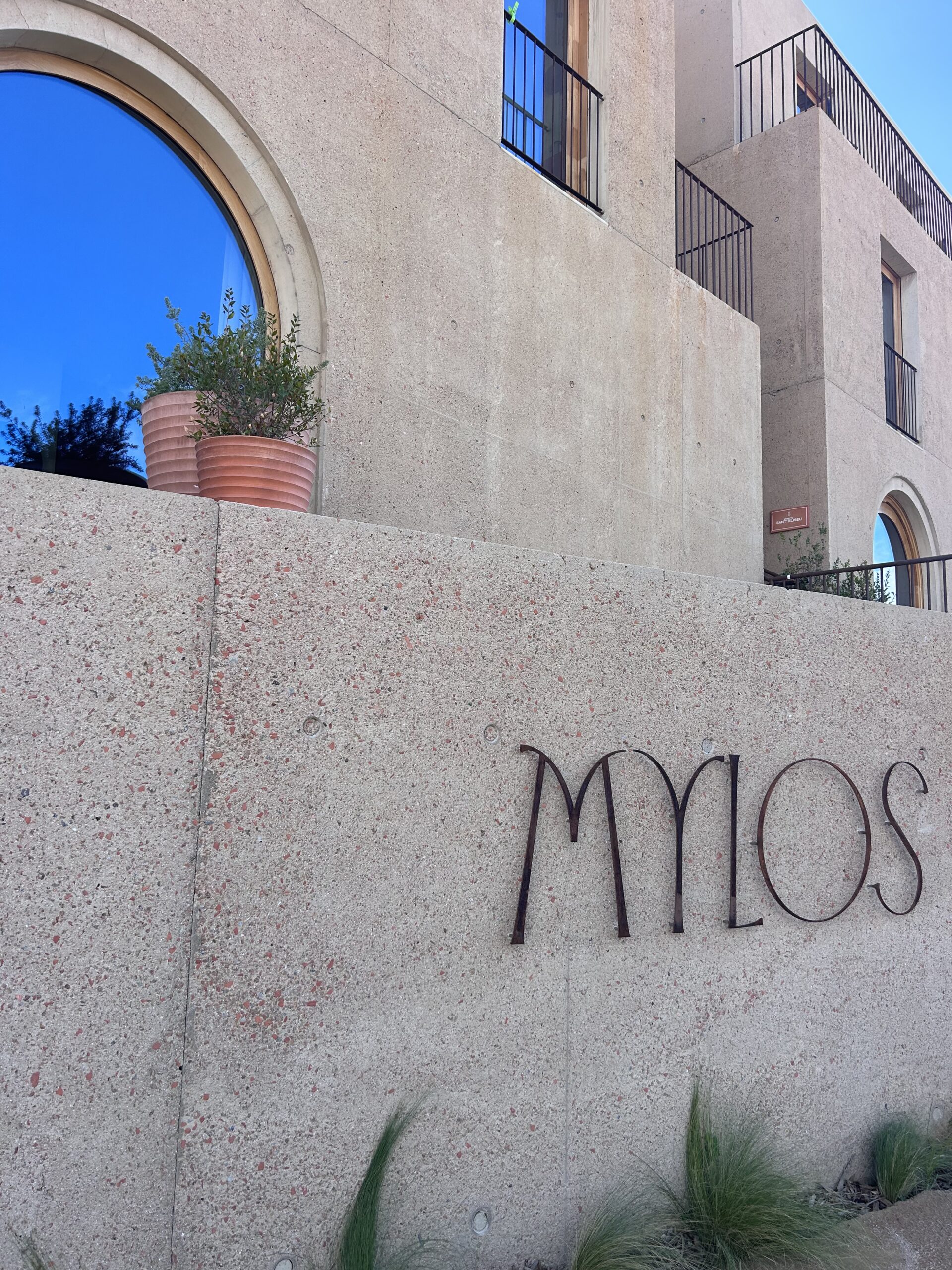 Corse-Du-Sud : Mer Turquoise, Vignobles Et Gastronomie 16 IMG 6474 scaled