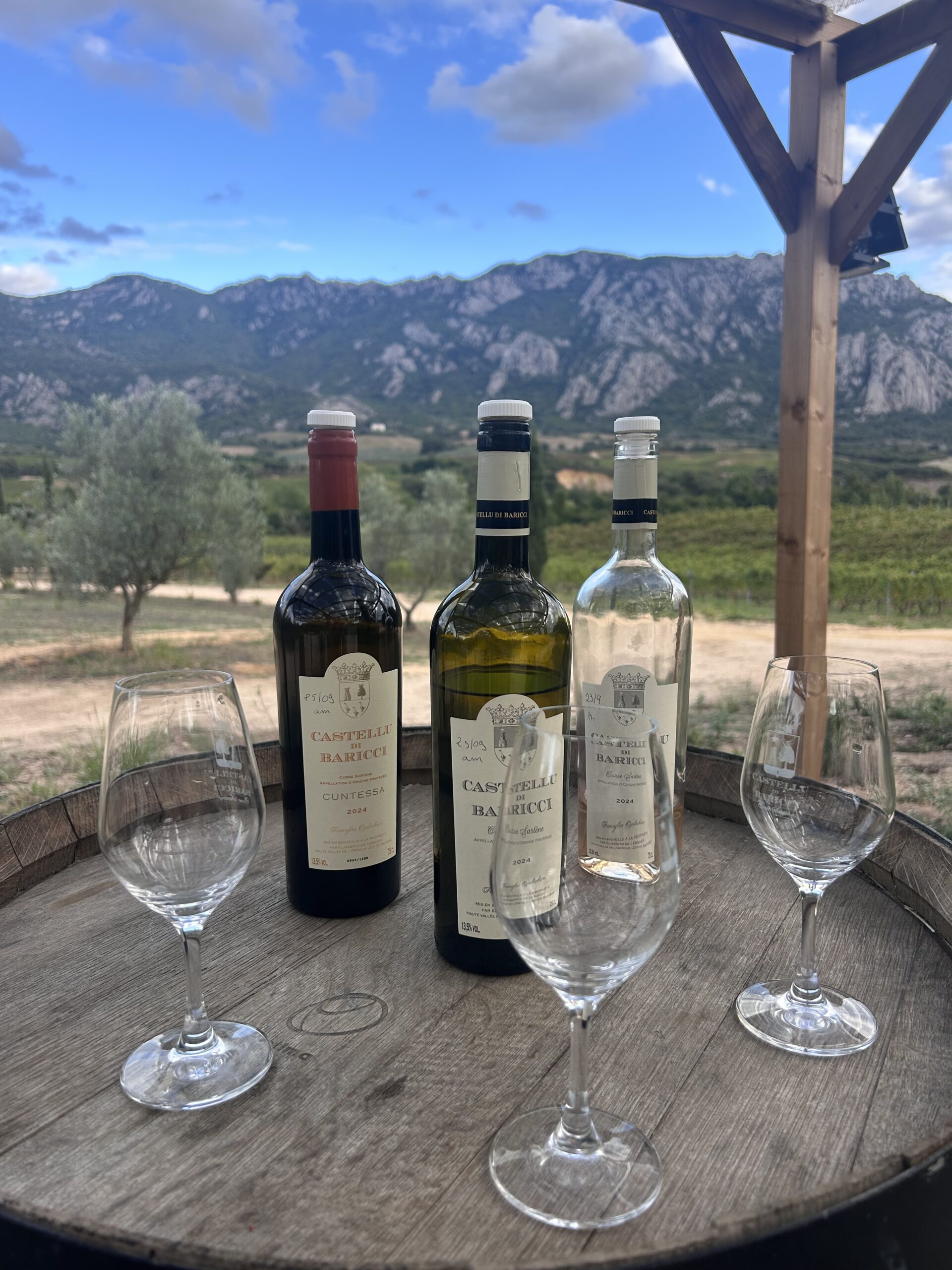 Corse-Du-Sud : Mer Turquoise, Vignobles Et Gastronomie 2 IMG 6544 scaled