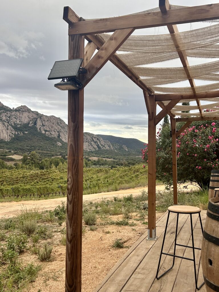 Corse-Du-Sud : Mer Turquoise, Vignobles Et Gastronomie 1 IMG 6553