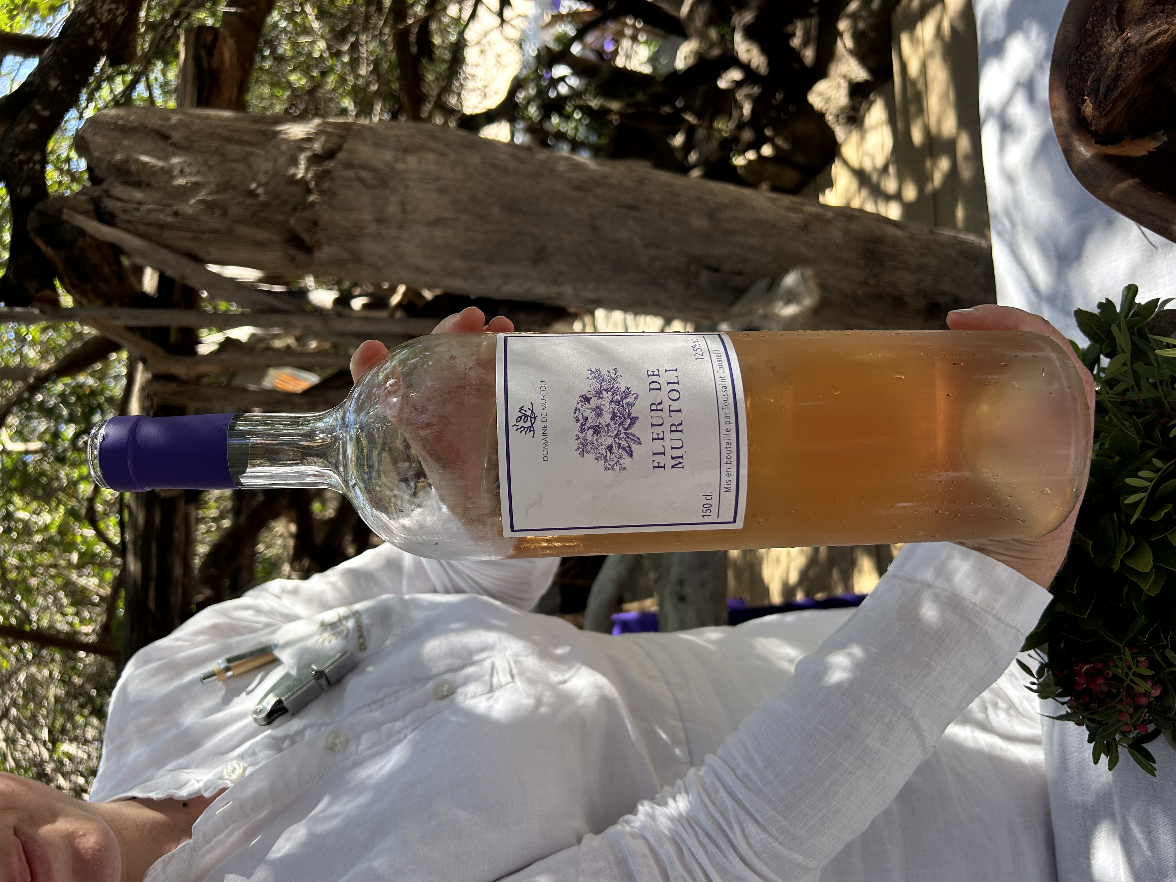 Corse-Du-Sud : Mer Turquoise, Vignobles Et Gastronomie 4 IMG 6590