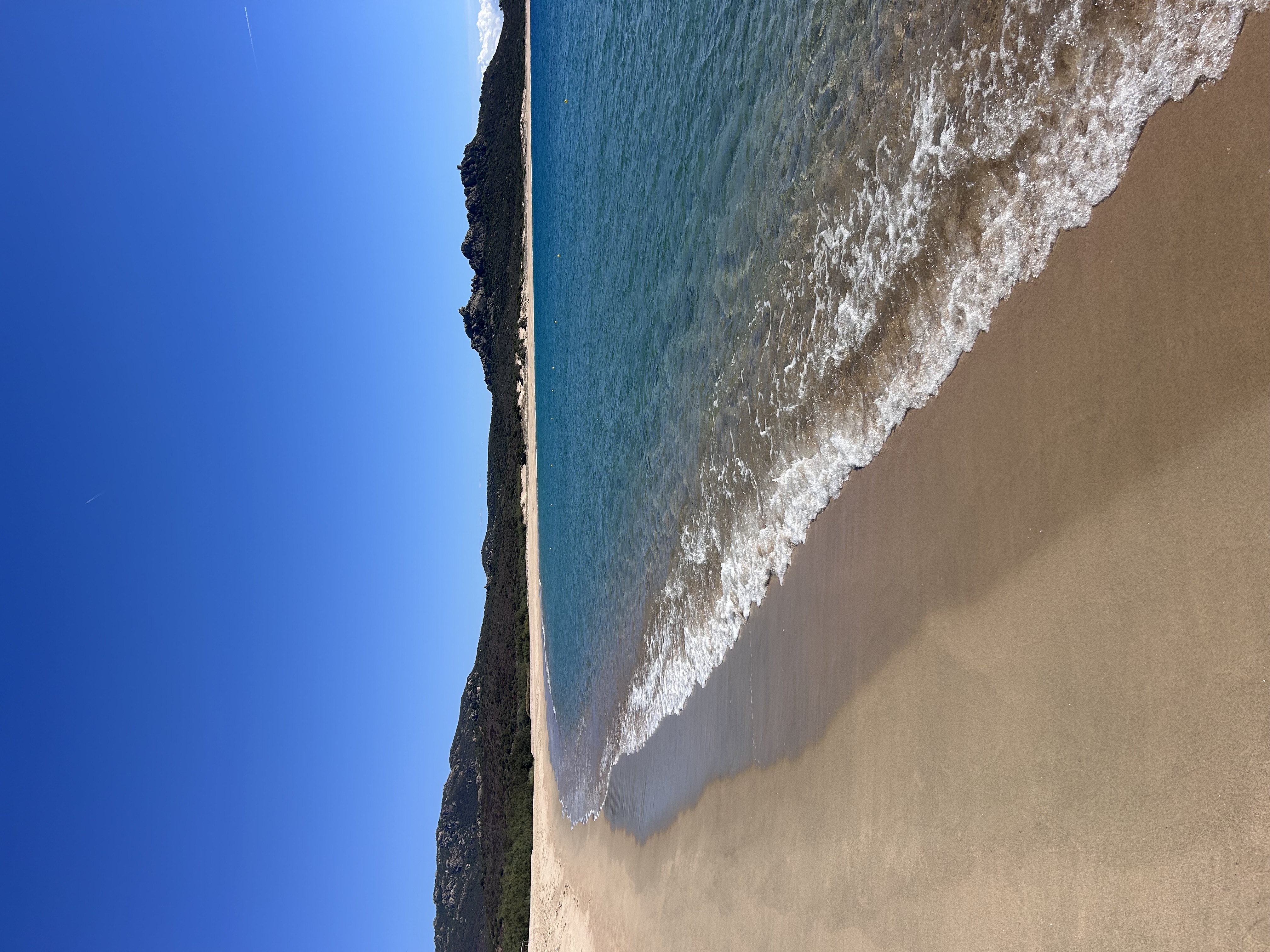 Corse-Du-Sud : Mer Turquoise, Vignobles Et Gastronomie 6 IMG 6633