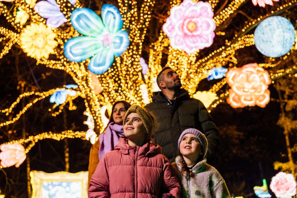 Brabant-Septentrional : Lumières et Magie d’Hiver 3 Light Safari 2024 2025 3