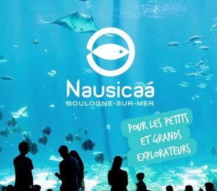 Nausicaá : Le Noël Magique de la Côte d’Opale