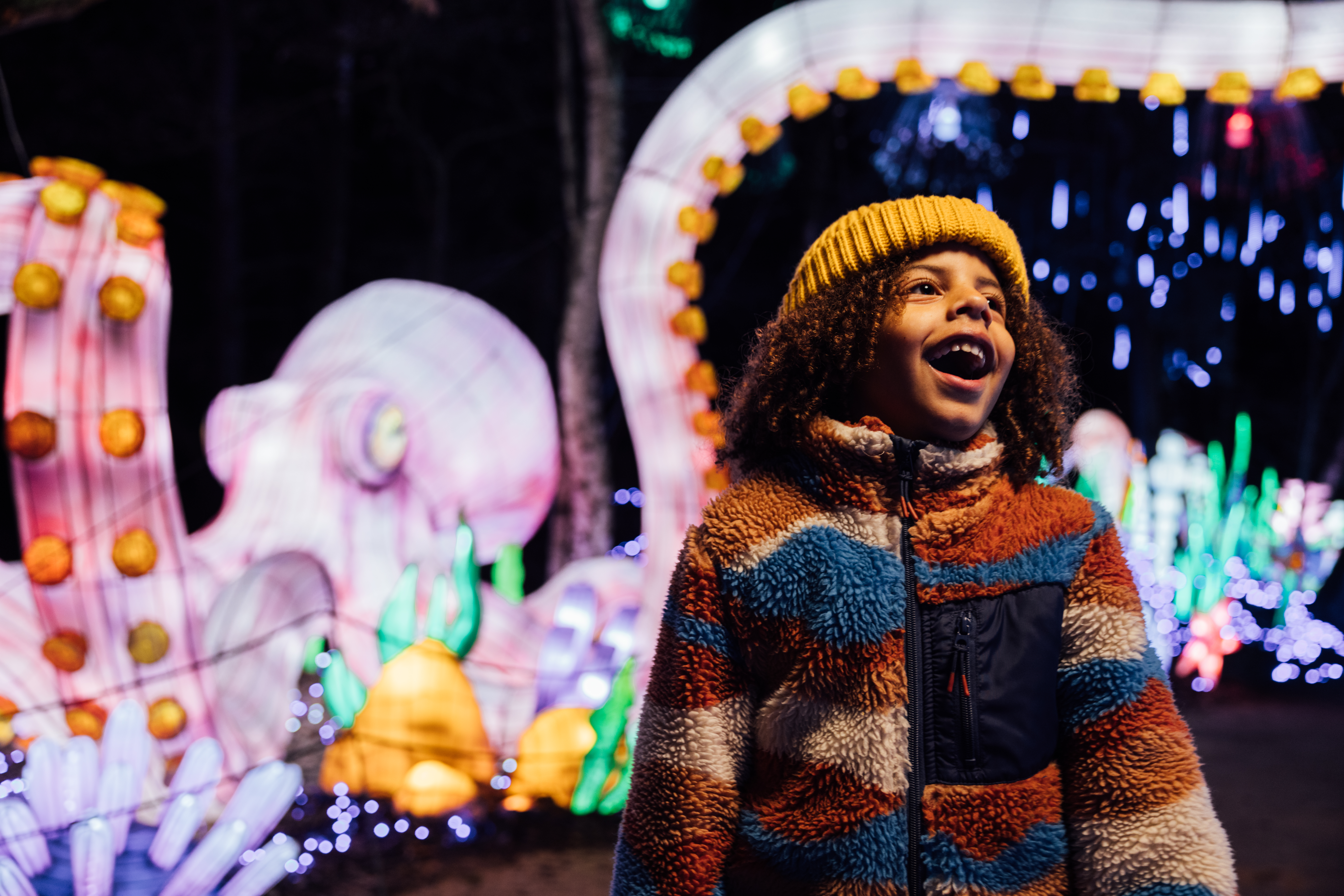 Brabant-Septentrional : Lumières et Magie d’Hiver 2 bb light safari 10