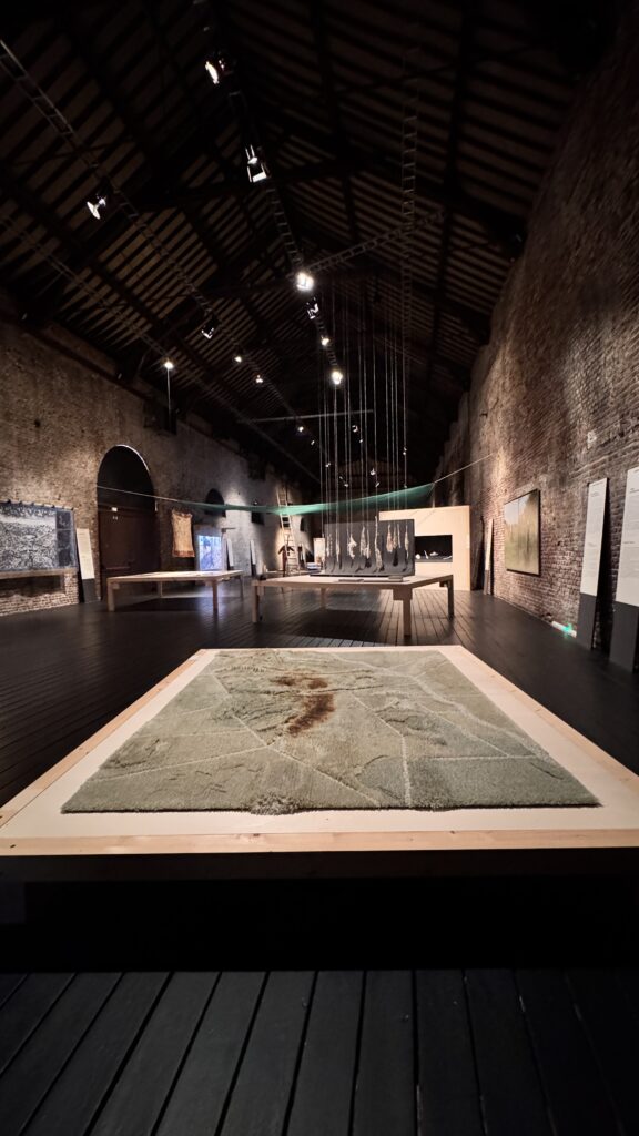 MEMO. SOUVENIRS DU FUTUR : Le Design Face Au Défi Écologique 1 MEMO