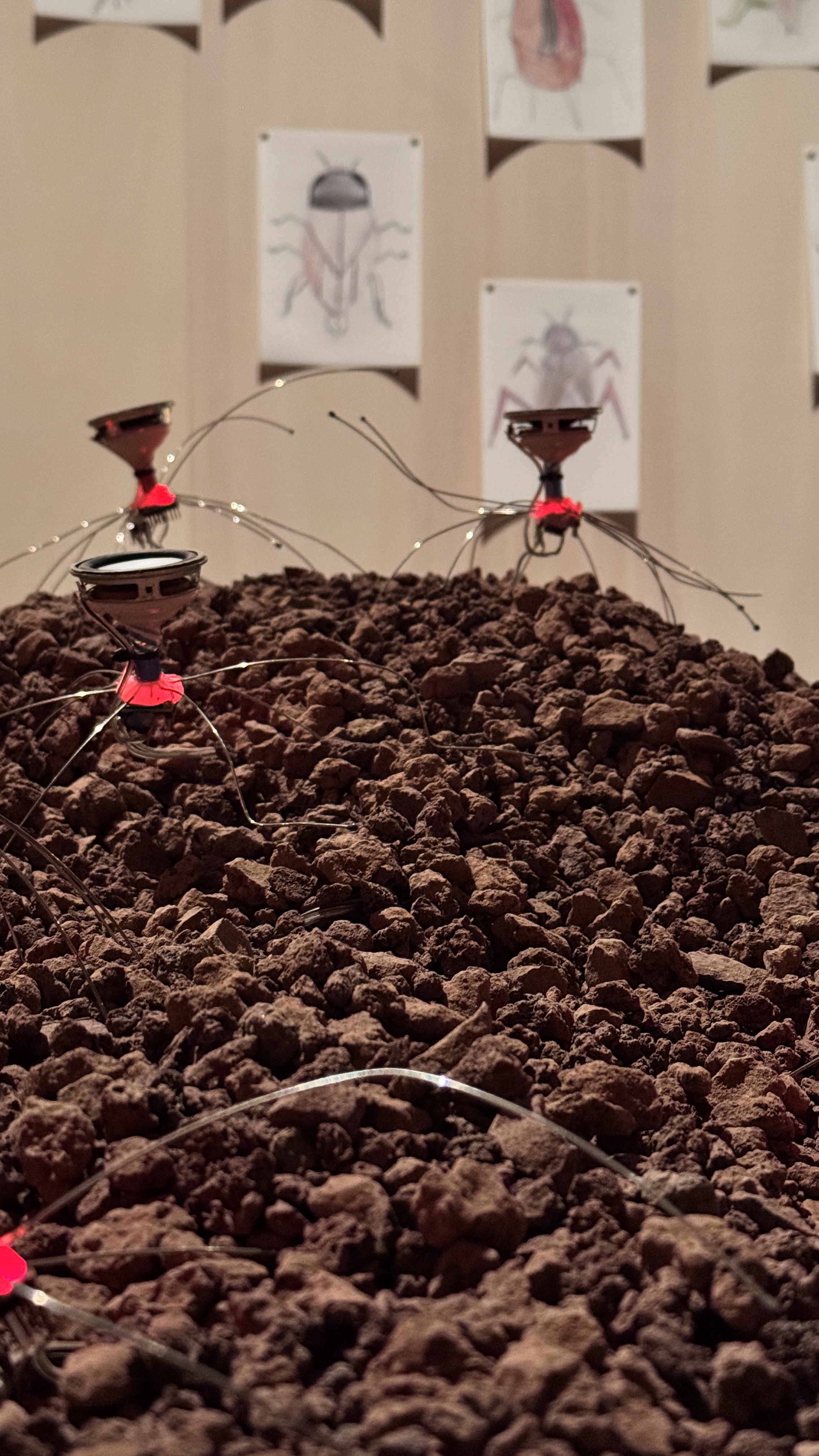 MEMO. SOUVENIRS DU FUTUR : Le Design Face Au Défi Écologique 5 IMG 1369