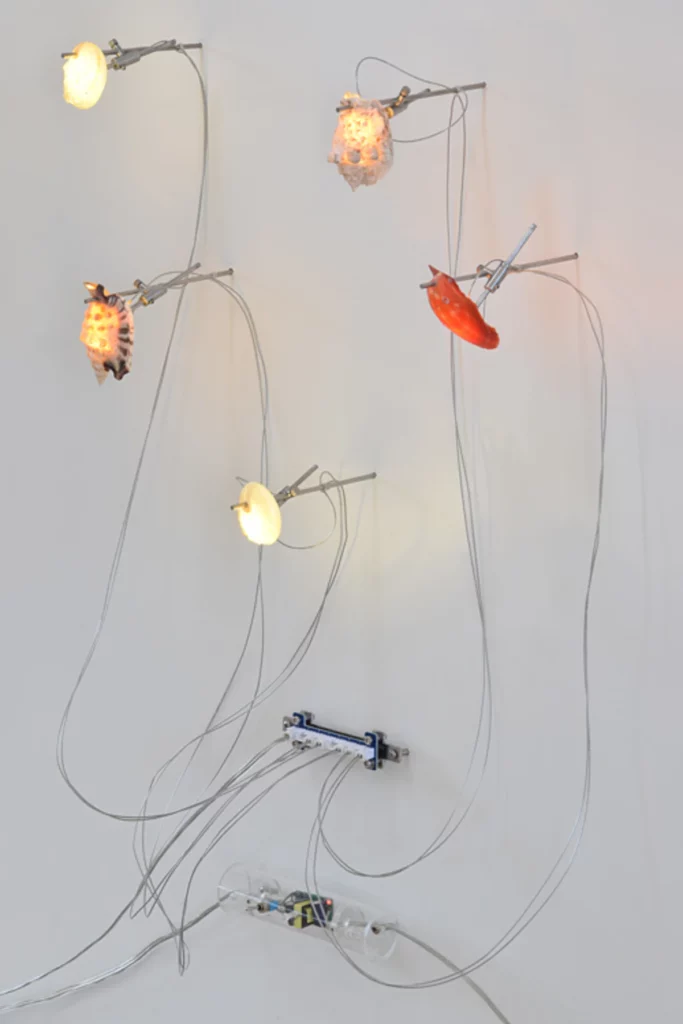 Ludovico Grantaliano MADRE aria 2025 9500