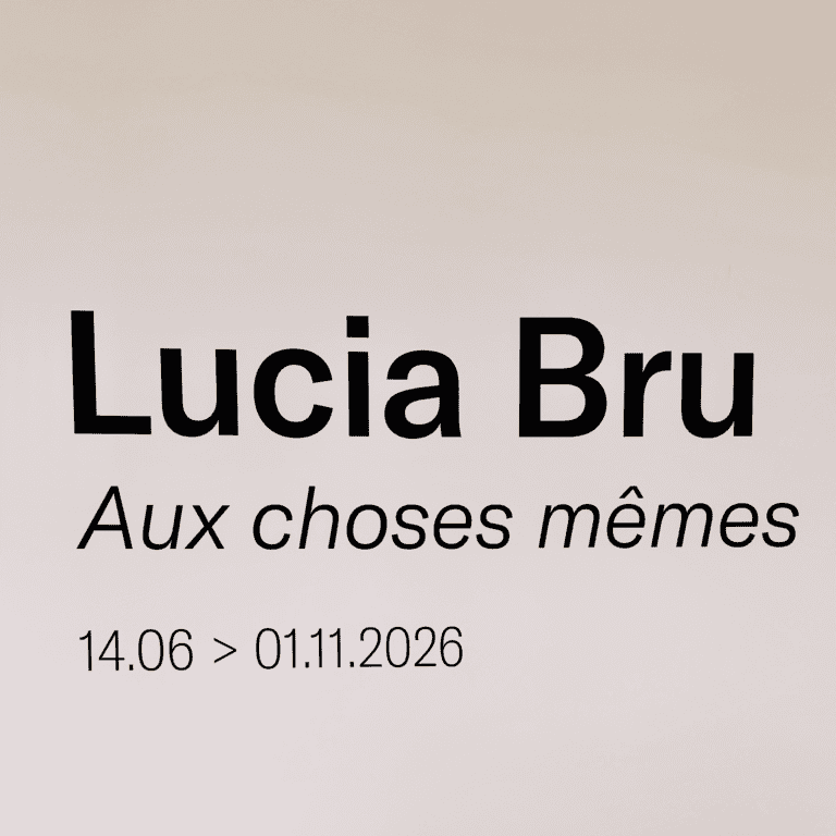 Au MACS, Lucia Bru Transforme La Matière En Poésie Dans Une Exposition Captivante