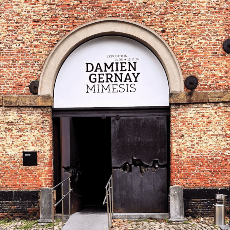 Mimesis : Le Design Sensoriel de Damien Gernay