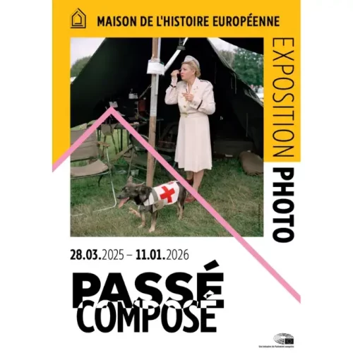 Passé composé. Un album européen
